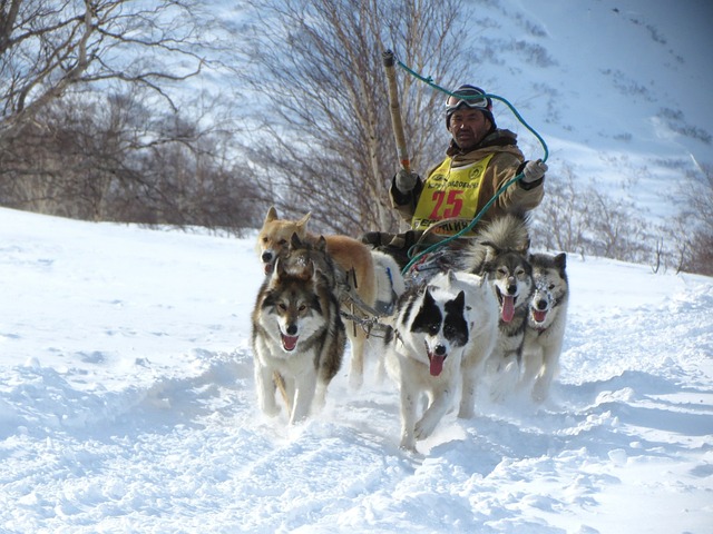 常契合湖人