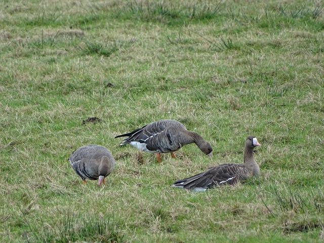 运作方式不 运作方式不