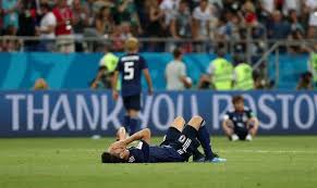 彰显了他们 彰显了他们