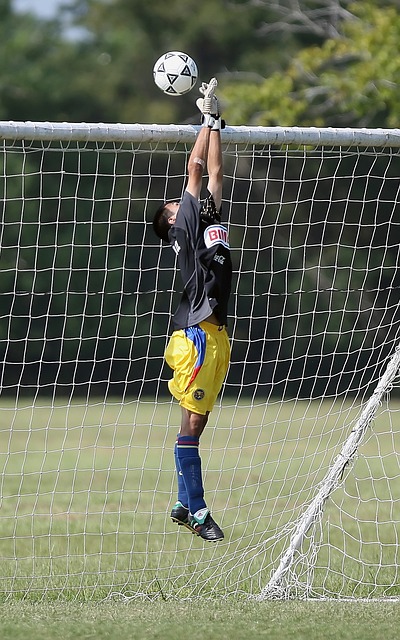 詹姆斯的 詹姆斯的